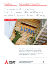 Lush Ltd, City Multi VRF (R2 Series), Poole cover image