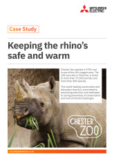 Chester Zoo Rhino Case Study cover image